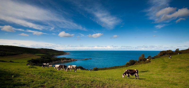 Paysage de Normandie