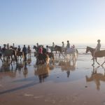 Camping Manche, chevaux sur la plage