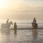 Camping Manche, chevaux sur la plage